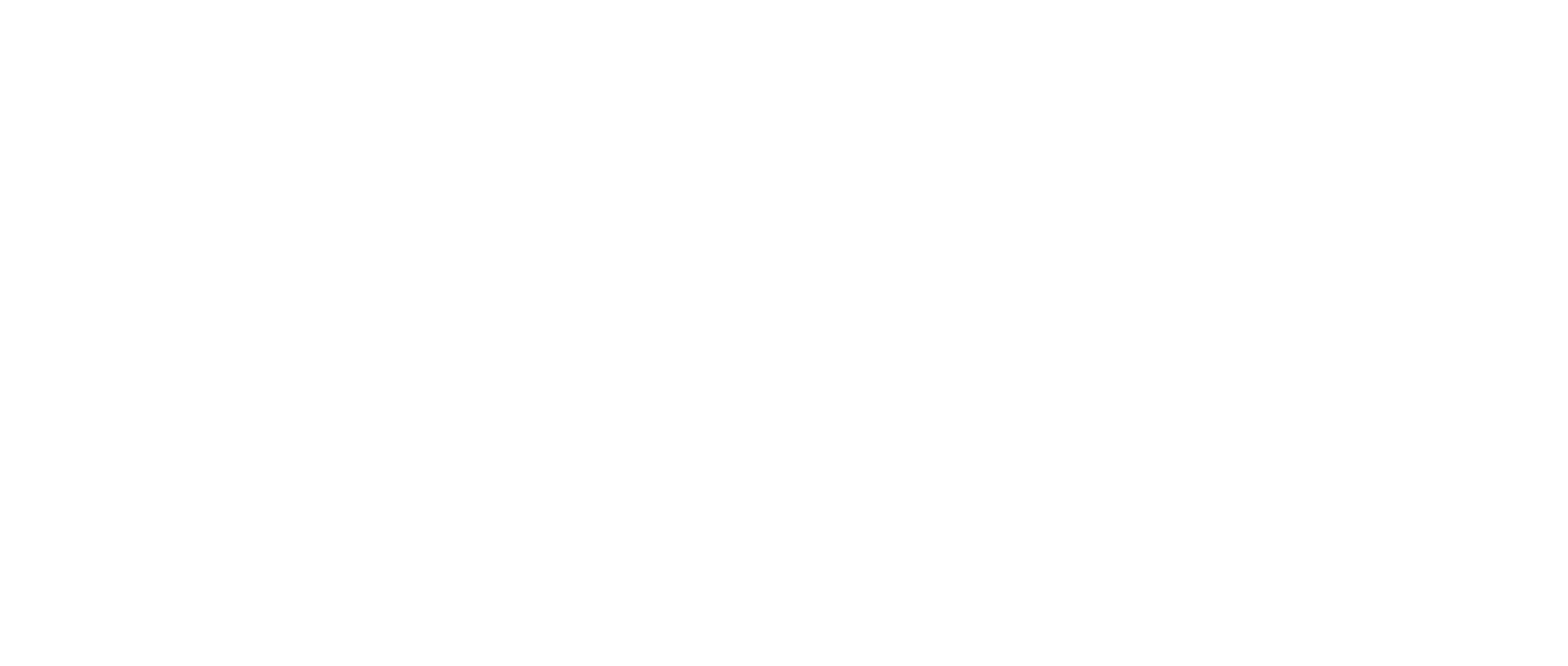 LOGO BLANC TRANSPARENT ASSOCIATION OZOUAKI